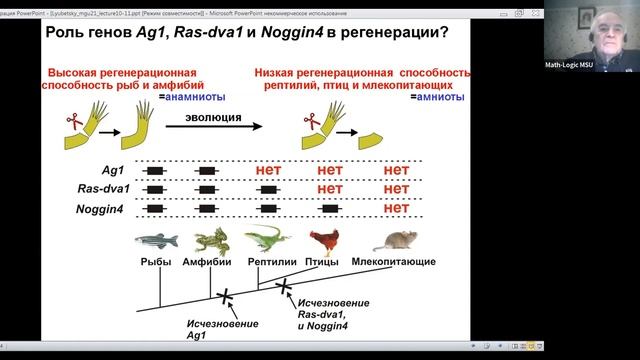 Математическая биология и дискретная оптимизация. Лекция 11 (6.12.21) смотреть онлайн