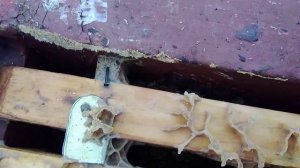 Вентиляция в улье зимой Влага и иней в ульях .