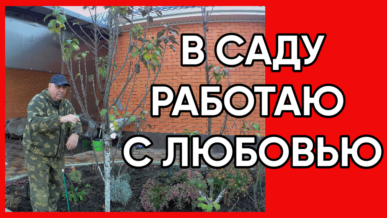 209. Осенние работы в саду в Краснодарском крае/Переехали на юг России смотреть онлайн