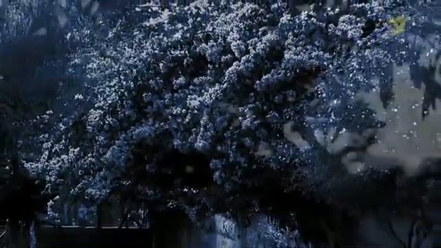 Библейские места Гефсиманский сад смотреть онлайн