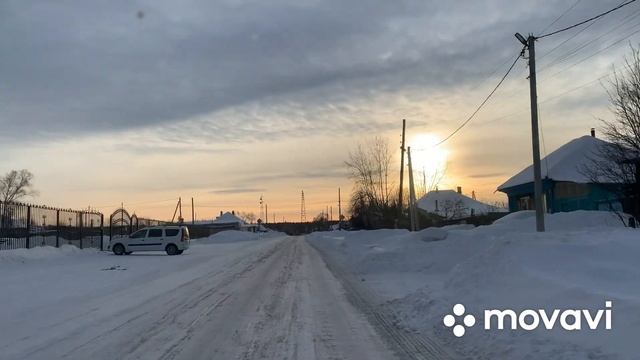 Меняем рулоны и идём за сосновым лапником// смотреть онлайн