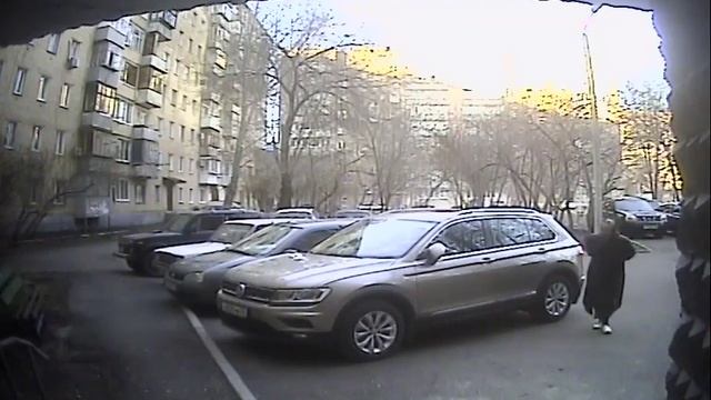 Оренбург Маршала Жукова 24 (7) 9 Апреля 2019 19:01 смотреть онлайн