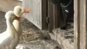 Pra(Killa'Gramm) | Кто ты такой