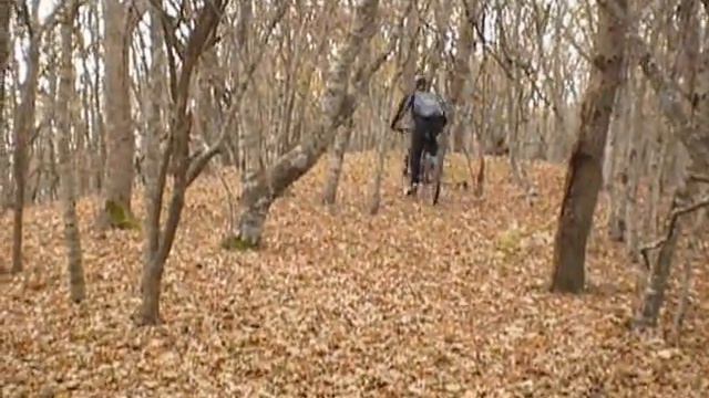 04 Велоупоротые - размышления во время лосячки смотреть онлайн