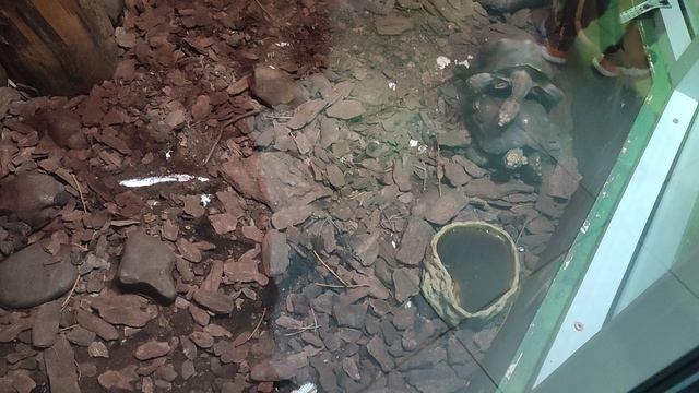 VID_20230528_164748.mp4
