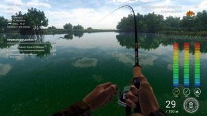 Паку-Кутёжник на Эверглэйдс [фрагмент стрима] - Fishing Planet