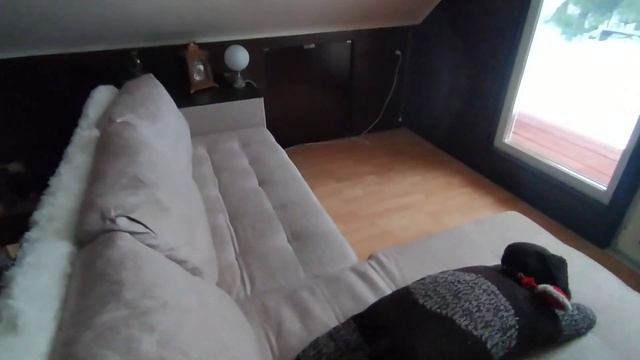 Купила новый диван в дом. Пешком до магазина за апельсинами. смотреть онлайн