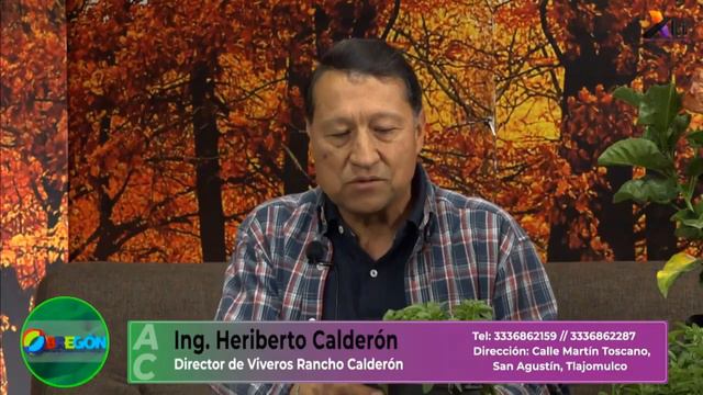 Viveros Rancho Calderón - Plantas de primavera / plantas medicinales смотреть онлайн