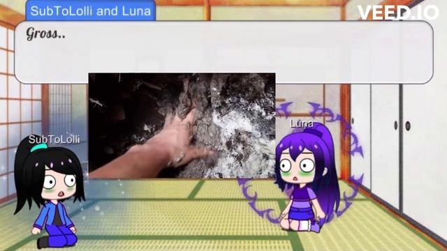 Me and Luna+ A special guest at the end react to HowToBasic1/3 смотреть онлайн