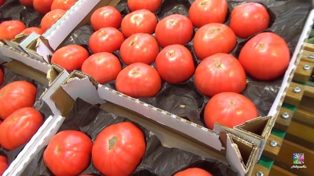 Лента! Выгодные покупки,бананы 54 р,куры 99р! май 2019 смотреть онлайн