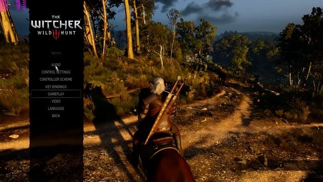The Witcher 3 | GTX 970 | NVIDIA HairWorks Test смотреть онлайн