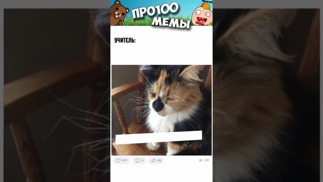 Мемы 2022 ( Тут Про100 мемы и короткие приколы с котами ) выпуск 358 - Самая полезная маска для лиц смотреть онлайн