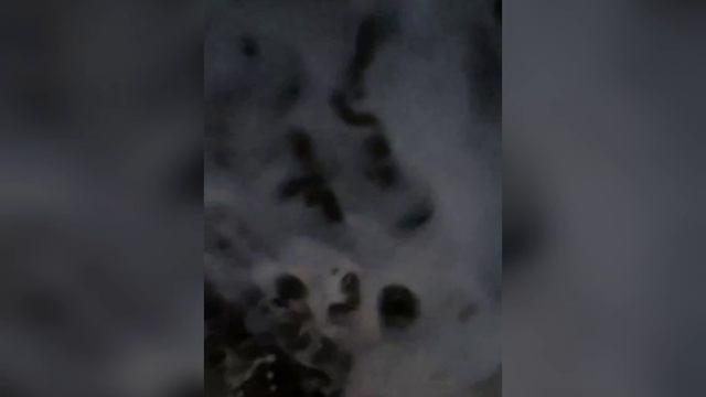 Азовское море сейчас