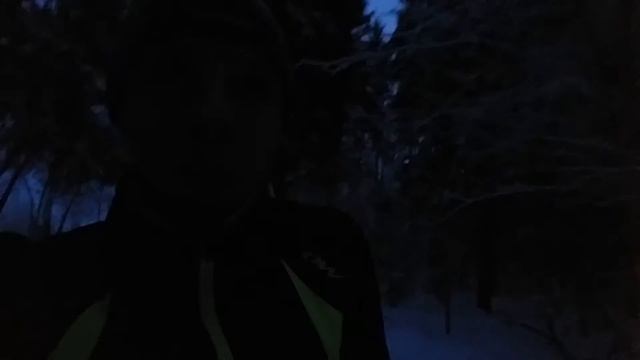 Лыжная короткометражка. Прикол в лесу 2017 смотреть онлайн