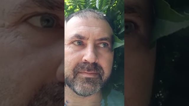 Кстати... | Автор стихотворения: Ирина Самарина- Лабиринт смотреть онлайн