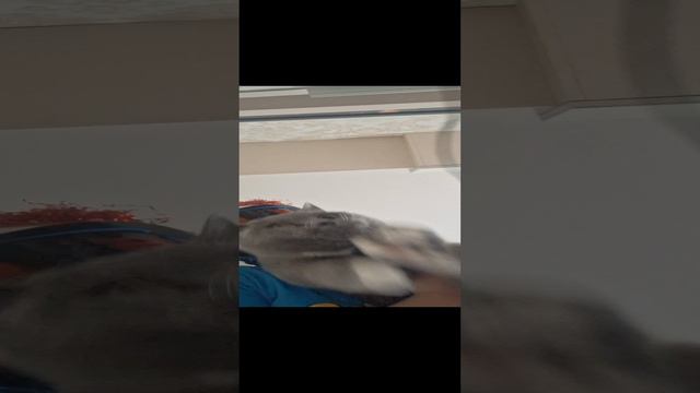 1000018742.mp4 смотреть онлайн