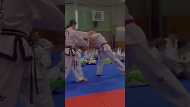 Аттестация на чёрные пояса.? смотреть онлайн