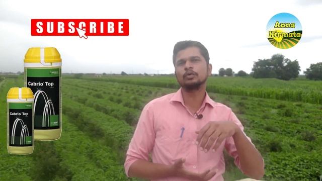 BASF Cabrio Top Fungicide/Cabrio TOP/Pyraclostrobin+Metiram смотреть онлайн