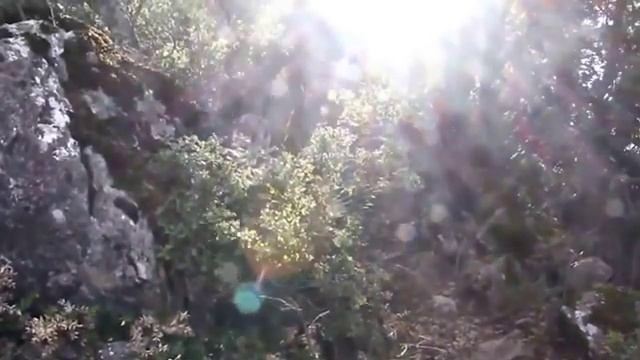 К Тебе иду. Песня О. Лагуткина на стихи м. Салафиила (Филипьева) смотреть онлайн