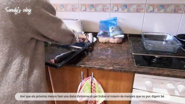 [Vlog] Començant la dieta | Vivint amb SII | Gaudint dels dies normals смотреть онлайн