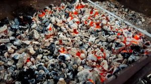 Какие должны быть угли для шашлыка