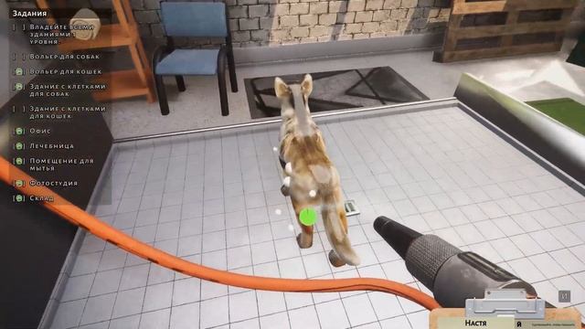 Приют для Кошек и Собак Пурумчата 4 Кот сломал лапку. Симулятор кошки Animal Shelter с Кидом