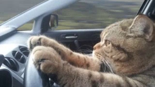 валим валим смотреть онлайн