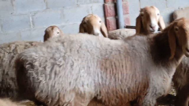 20 января 2024 г. смотреть онлайн