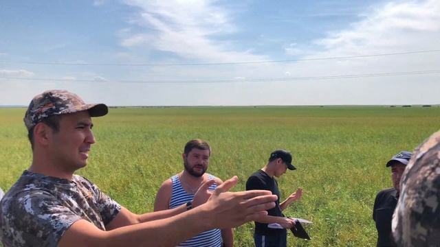 #15 Рейд на поля, выращивание рапса смотреть онлайн