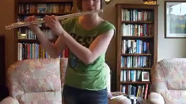 Patrick Wolf - The Magic Position (flute cover) смотреть онлайн