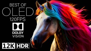 Dolby Vision 12K HDR 120fps on EPIC OLED - невероятное качество