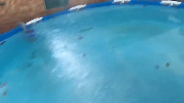 Забыл воду слить ))) смотреть онлайн