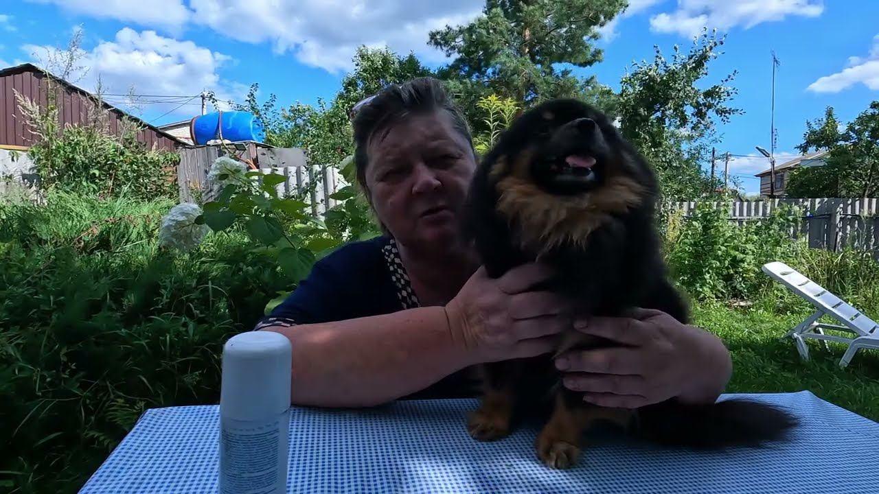 Ужасные роды и Закупили корма во Банк смотреть онлайн