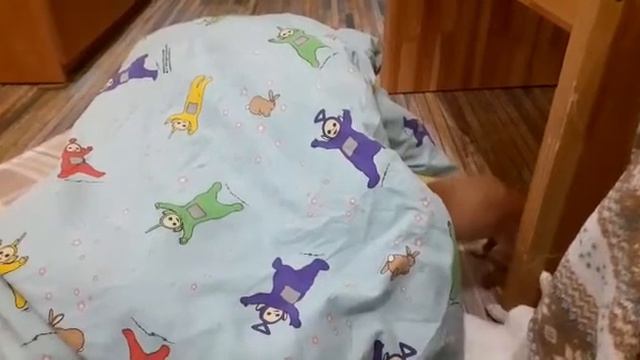 смешные чихуахуа,где вы там ку-ку СИМФЕРОПОЛЬ Кастропуло Крым смотреть онлайн
