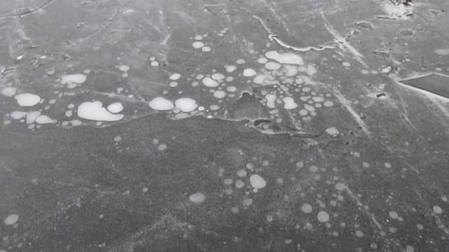 Ох Уж эти БОБРЫ 08.12.20 Мозырь Беларусь смотреть онлайн