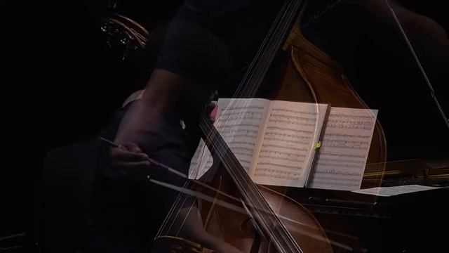Giovanni Bottesini & Gioachino Rossini Recital смотреть онлайн