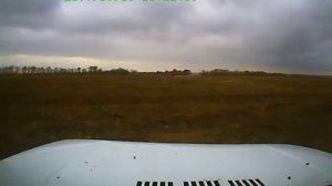 Охота с грейхаундами