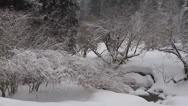 Kazakhstan. Nature. Казахстан. Кусочки нашей природы. смотреть онлайн