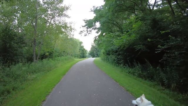 Тестируем Обновки! | Новая Камера и Микрофоны | Dji Pocket 2 и Dji Wireless Mic | Прогулка по Треку