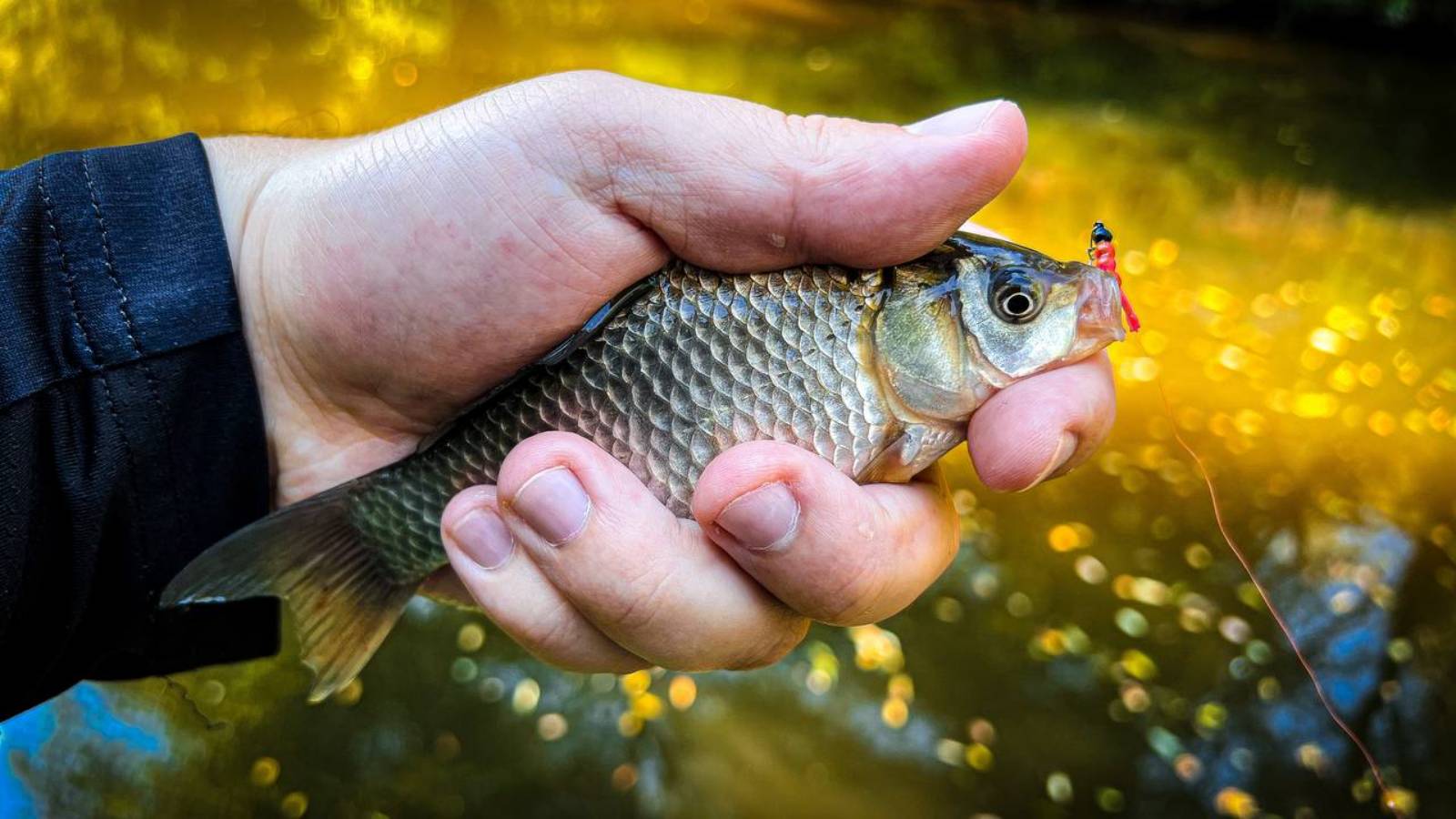 КАРАСИ В КАЖДОЙ ЯМКЕ / РЫБАЛКА на МОРМЫШКУ и НАНО КОЛЕБАЛКИ смотреть онлайн