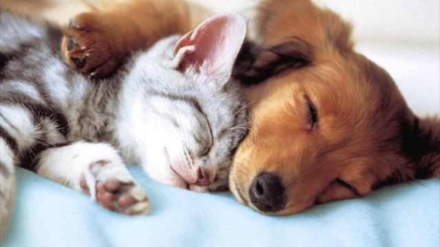 "СПОКОЙНОЙ НОЧИ!" стихи Анастасия Одесса смотреть онлайн