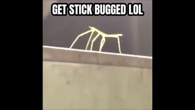 Free Credit Card Info December #2021   YouTube