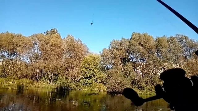 Рыбалка на реке Ловать. Ловля щуки на спиннинг. смотреть онлайн