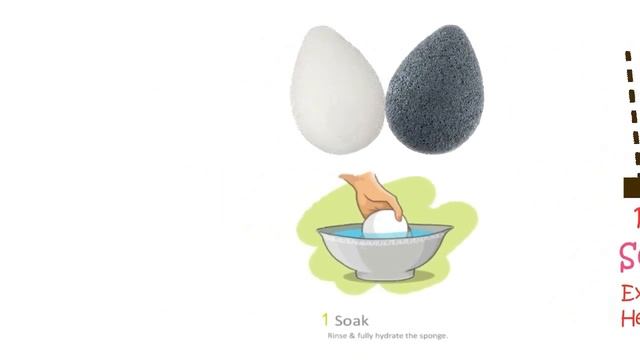 Konjac Sponge Review: What is a Konjac Cleansing Sponge? смотреть онлайн