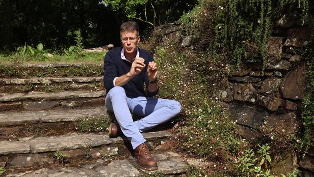 PAQUERETTE DES MURAILLES ou ERIGERON KARVINSKIANUS - Quelle Plante Pour Mon Jardin ? смотреть онлайн