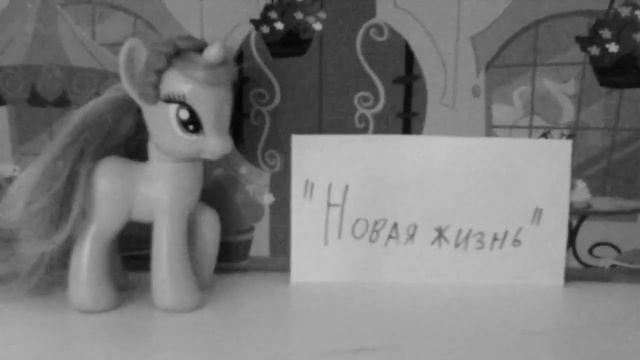 Мини реклама программы "Новая жизнь" смотреть онлайн