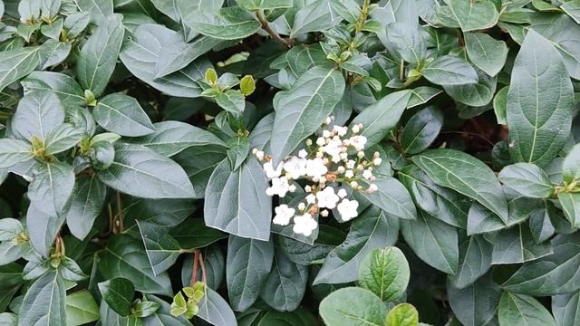 Мы приехали в санаторий МВД 