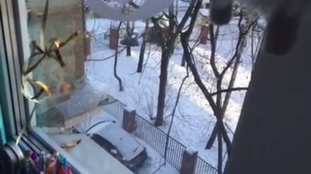 Коммунальщики Филевского парка сбивают сосульки чугунным утюгом смотреть онлайн