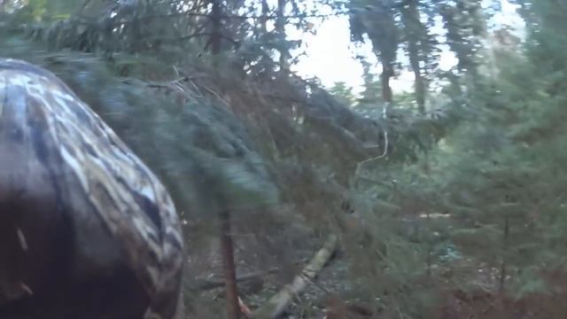 Охота на бобра с ружьем, Старею... Молодняк не стреляю! Hunting for beaver. смотреть онлайн