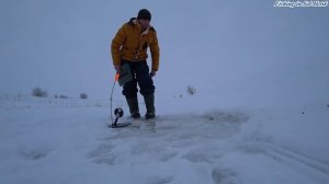 Как подсекать щуку на жерлицах.